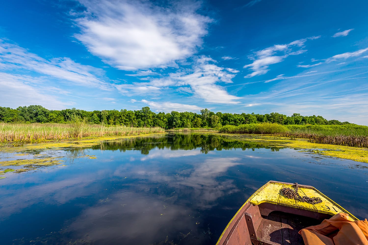 Kayaking at Obedska Bara, Serbia