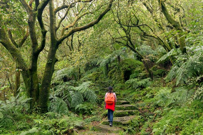 Woman trekking in the subtropical forest of the Yangmingshan National Park, climbing stone stairs, Taipei, Taiwan