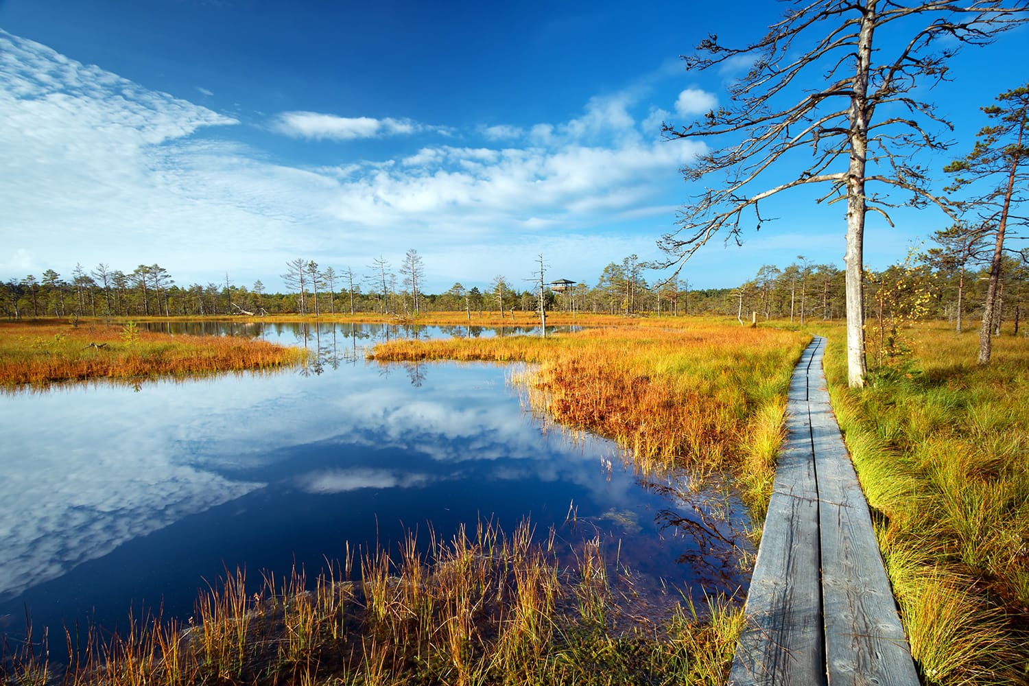 Lahemaa National Park in Estonia