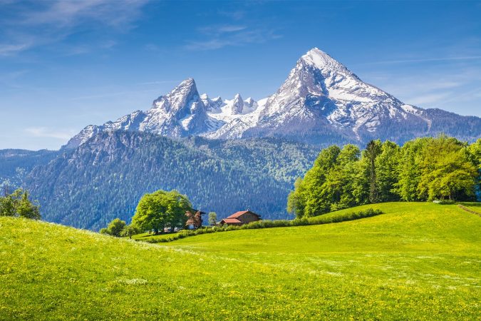 Idyllic landscape in the Alps with fresh green meadows and blooming flowers and snowcapped mountain tops in the background, Nationalpark Berchtesgadener Land, Bavaria, Germany