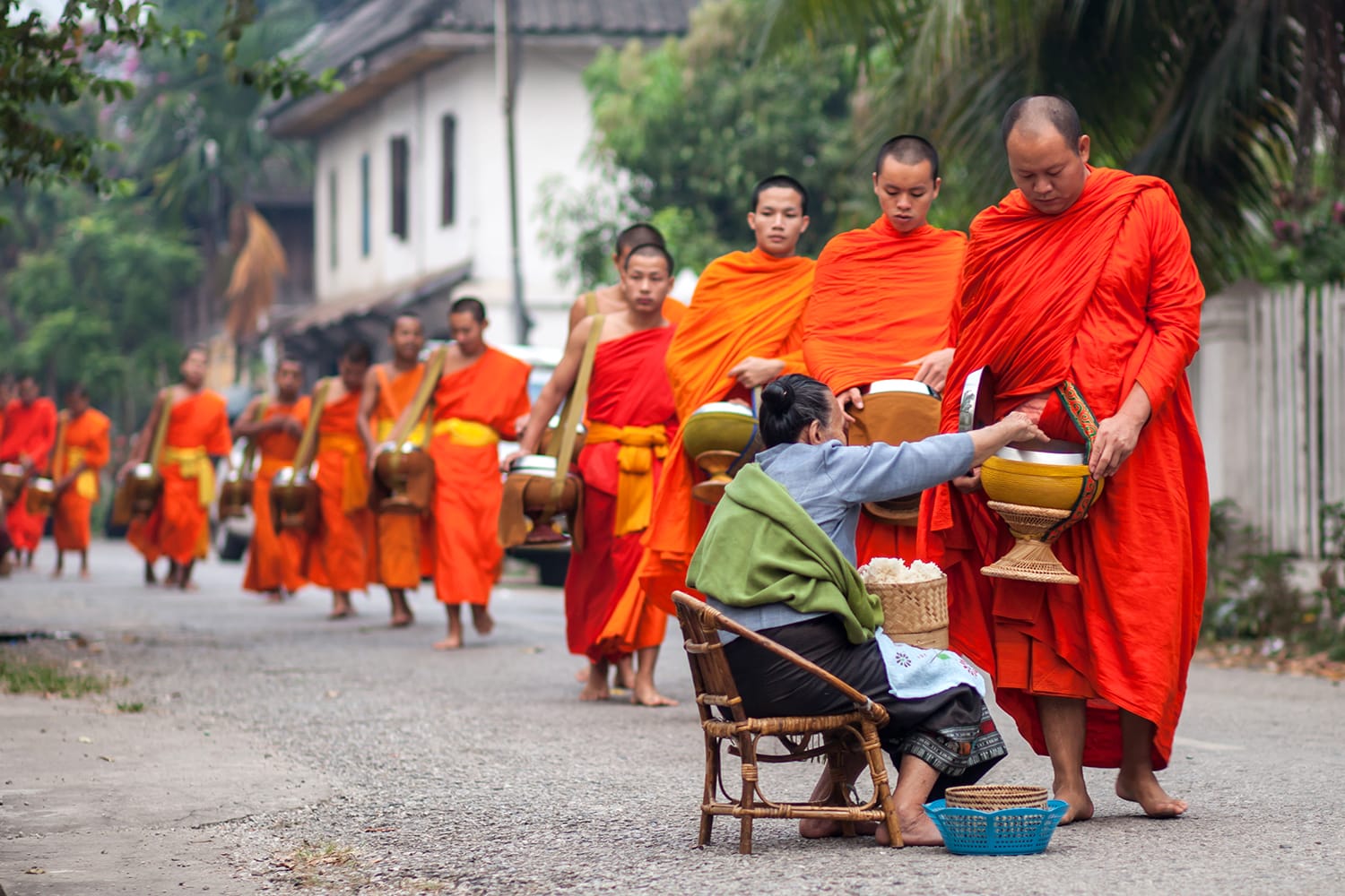 Traditional alms giving in Luang Prabang, Laos