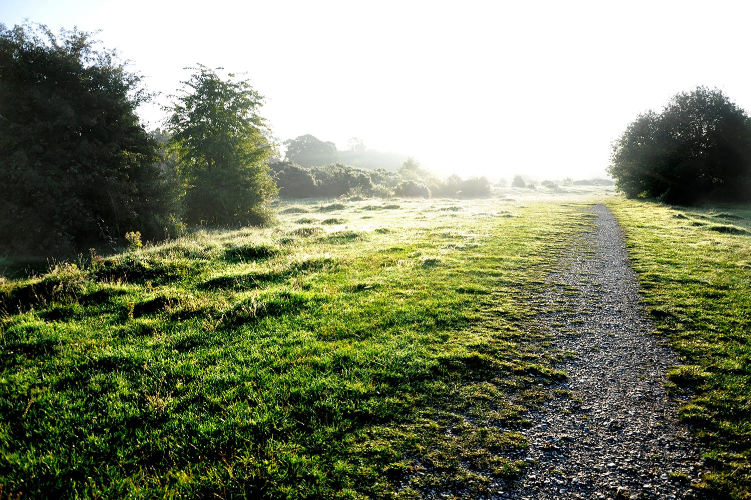 Greenham Common in UK