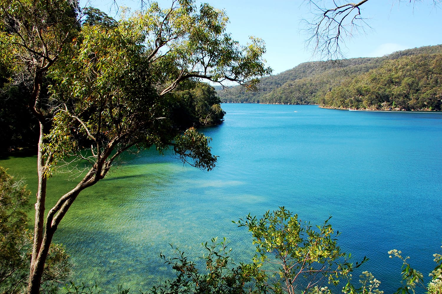 Ku-ring-gai Chase National Park. Mont Kuring-gai track. Tracking in Australia, New South Wales.
