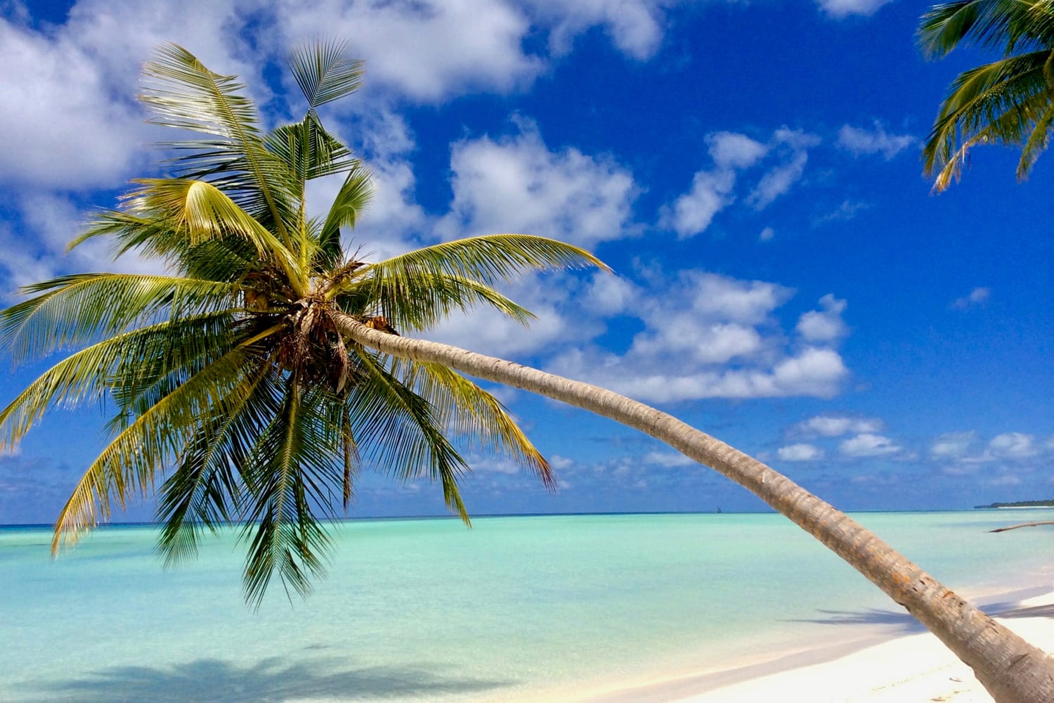 Beautiful white sand beach in Laamu Atoll, Maldives