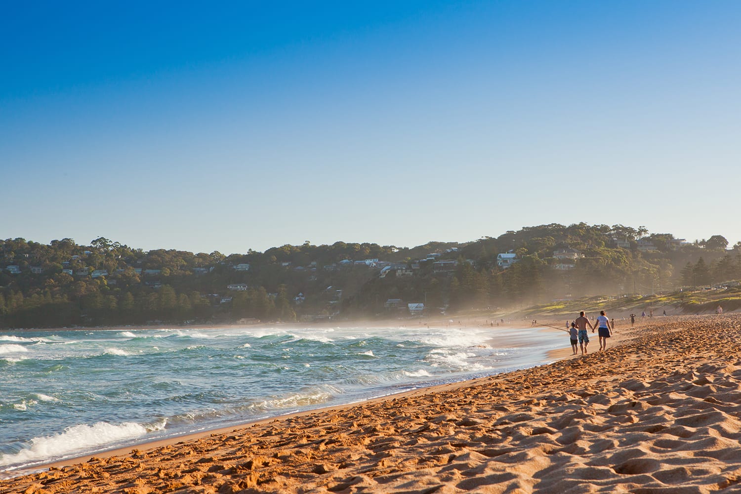 Palm beach in New South Wales, Australia