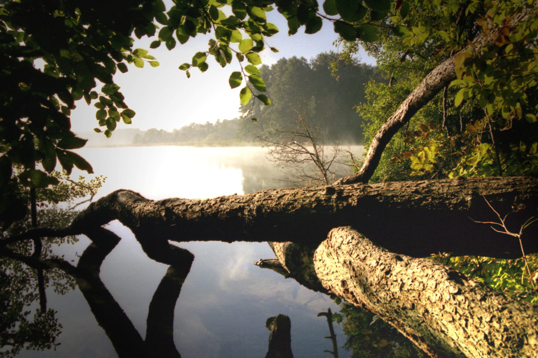 Schaalsee in Germany