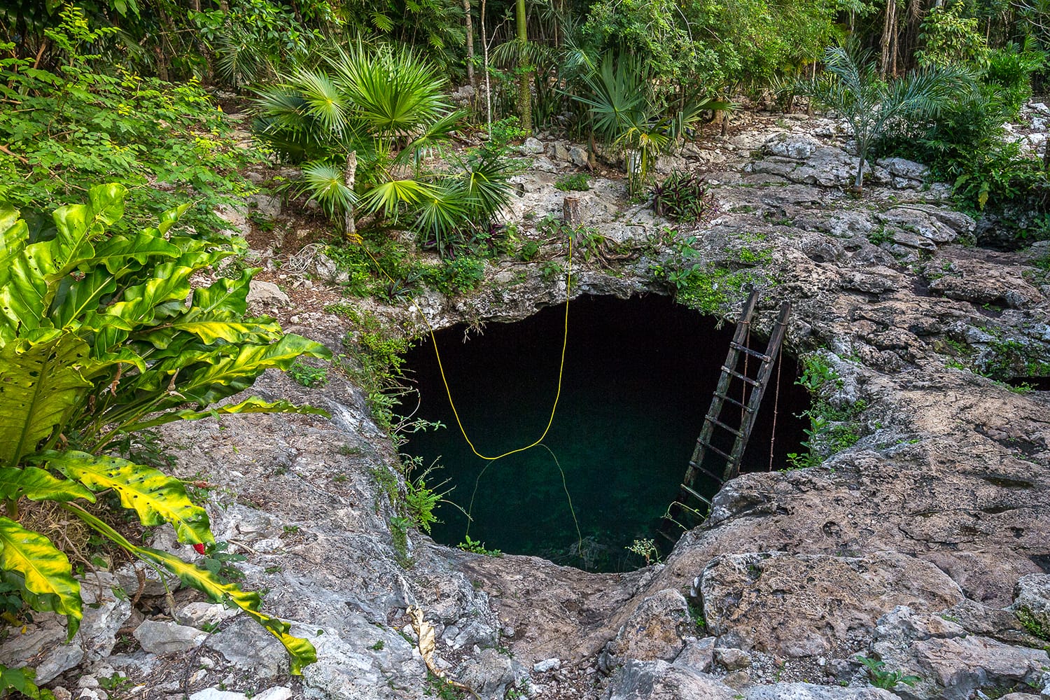 Cenote Calavera also called temple of Doom, Tulum, Mexico