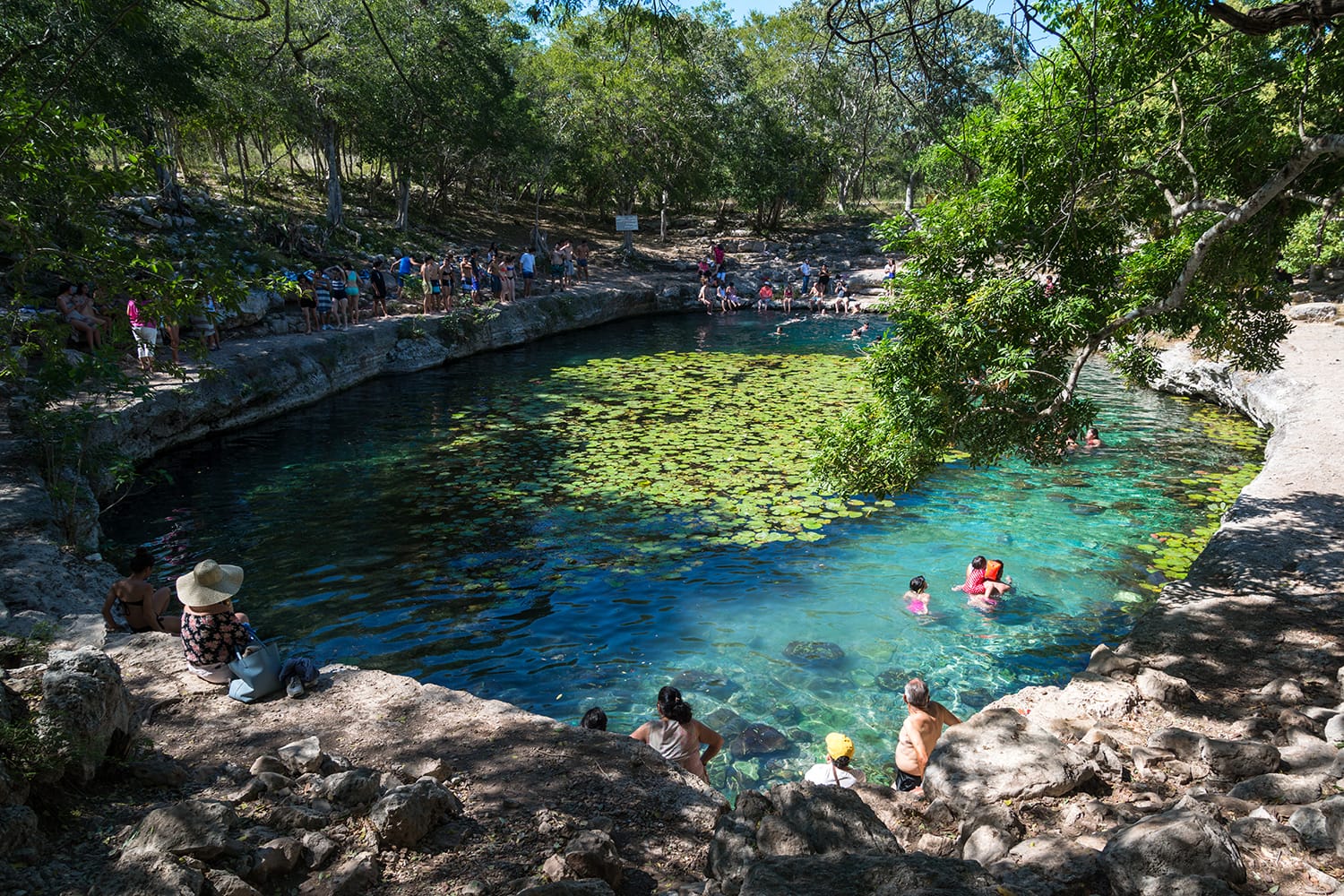 Cenote Xlacah situated in Dzibilchaltun zona archeologica area in Mexico