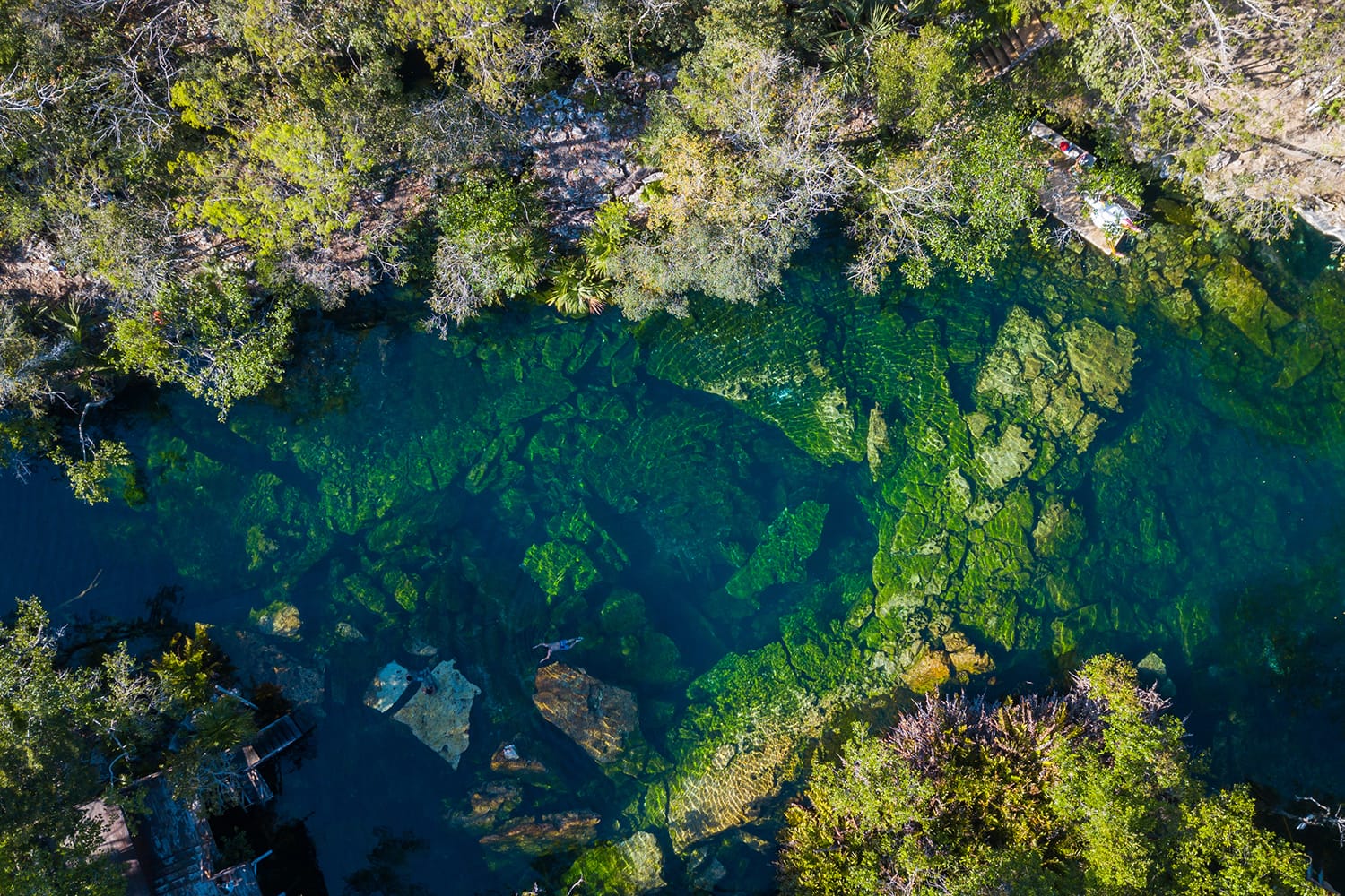 Cenote Jardin del Eden in Quintana Roo, Yucatan, Mexico