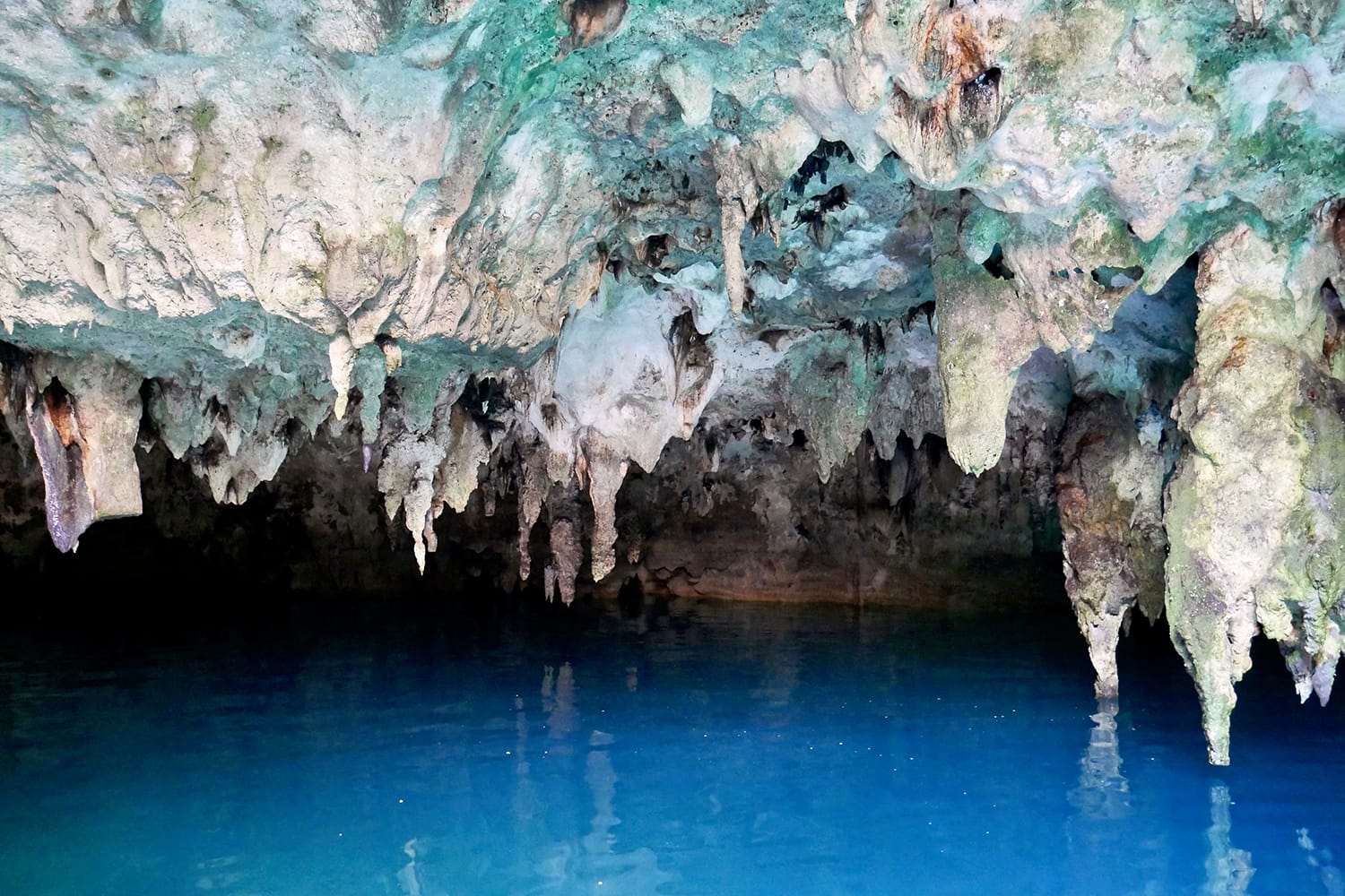 Cenote La Noria in Mexico