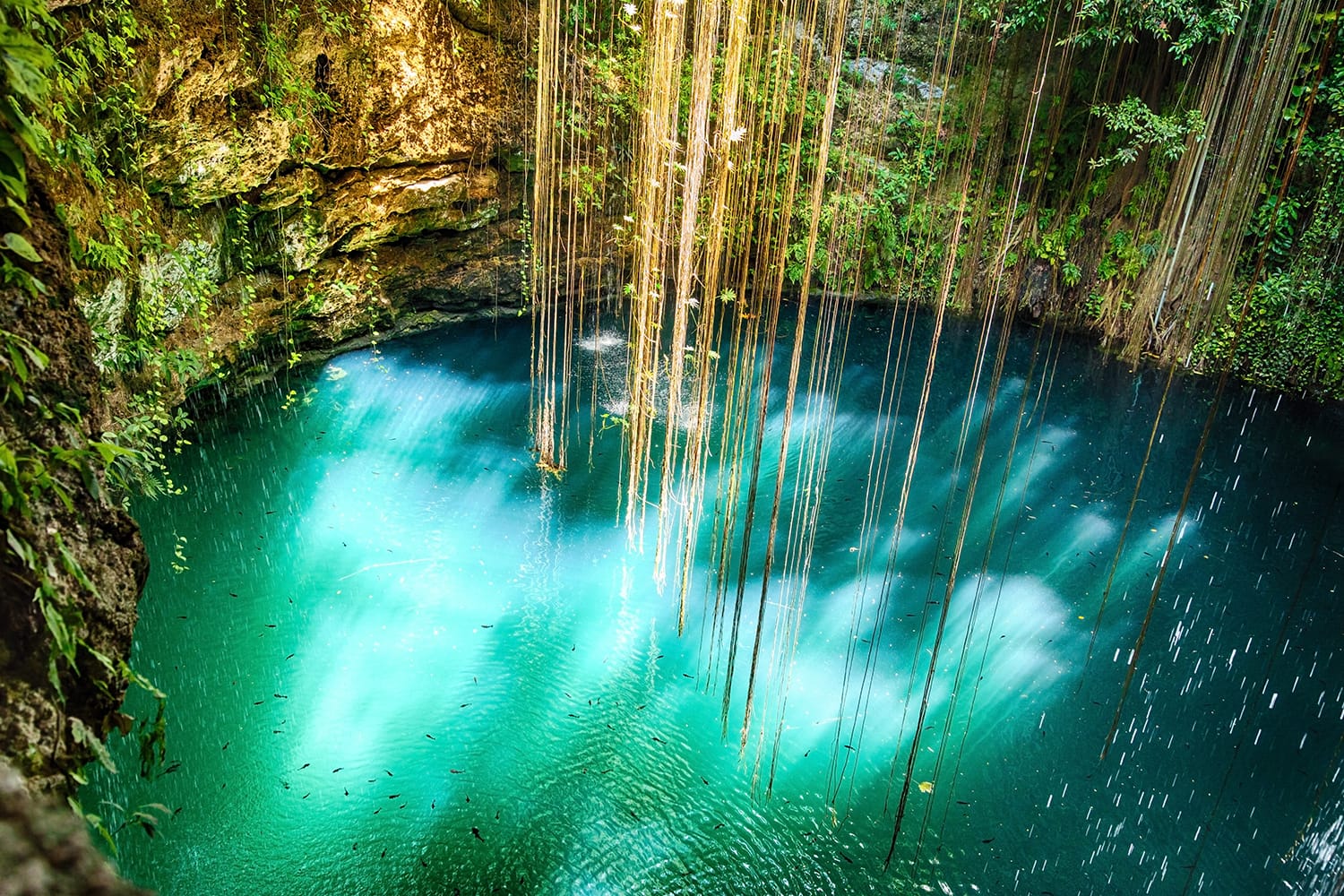 Ik-Kil Cenote near Chichen Itza, Mexico.