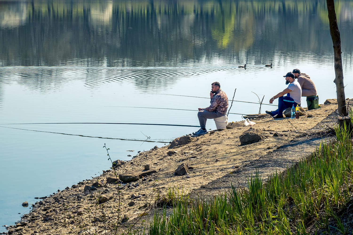 Man fishing on a sunny day in Bucharest, in King Mihai 1 Park.