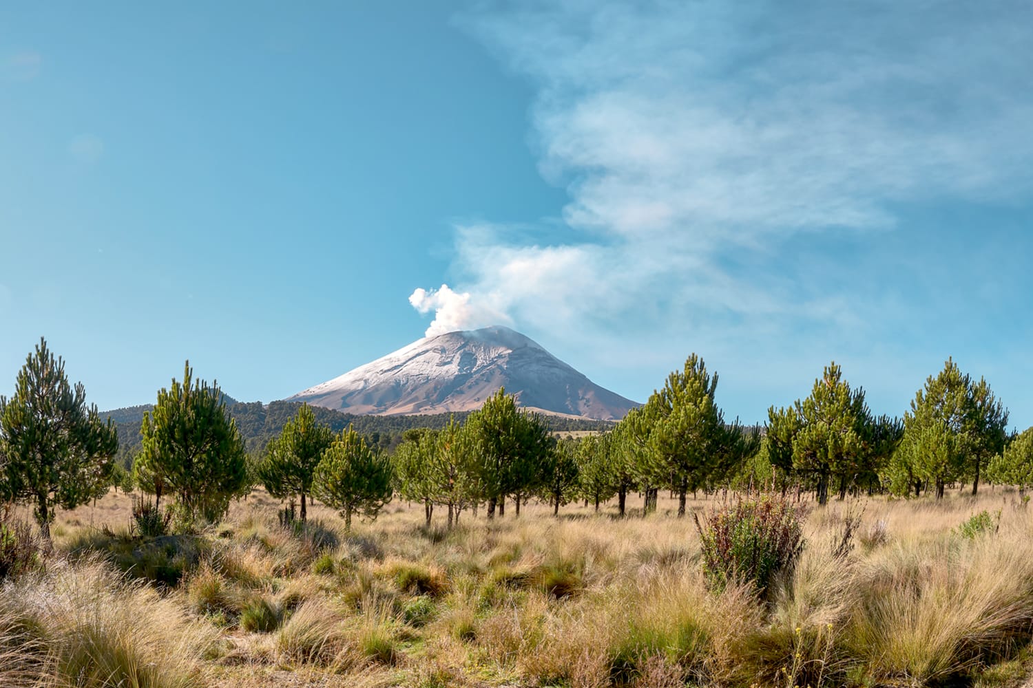 Popocatepetl volcano seen from the Izta-Popo Zoquiapan National Park in Mexico