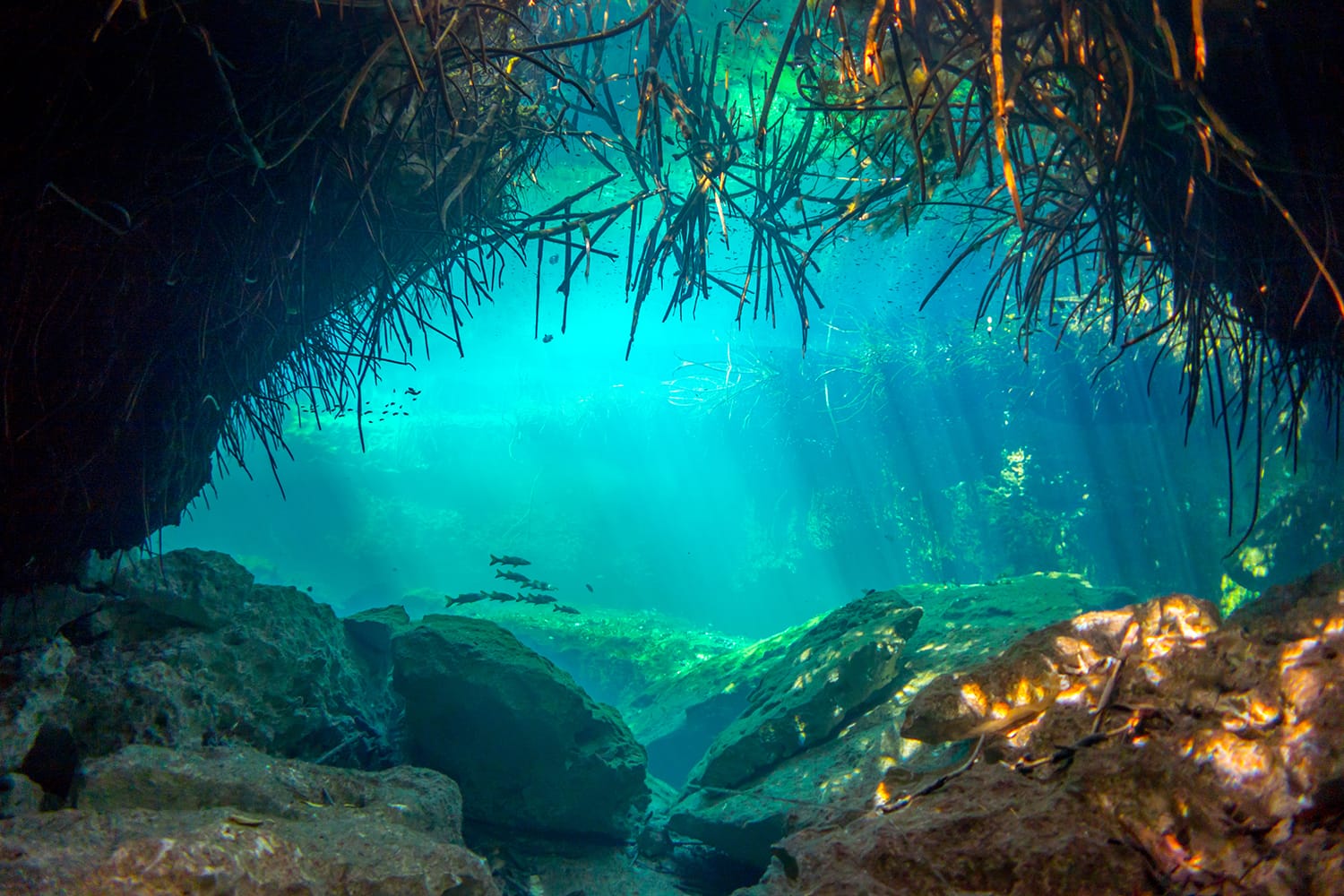 Underwater Casa Cenote Yucatan Mexico