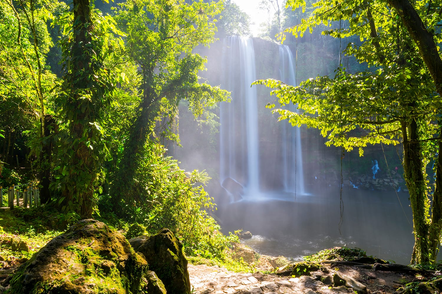 Jungle path to Misol Ha waterfall near Palenque in Chiapas, Mexico