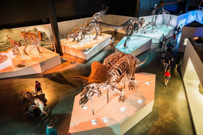 Houston Museum of Natural Science in Texas, USA