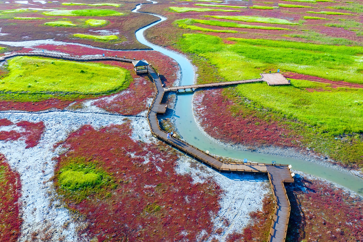 Aerial view of Taepyeong Salt Botanical Garden at Jeungdo Island, Sinan-gun, South Korea
