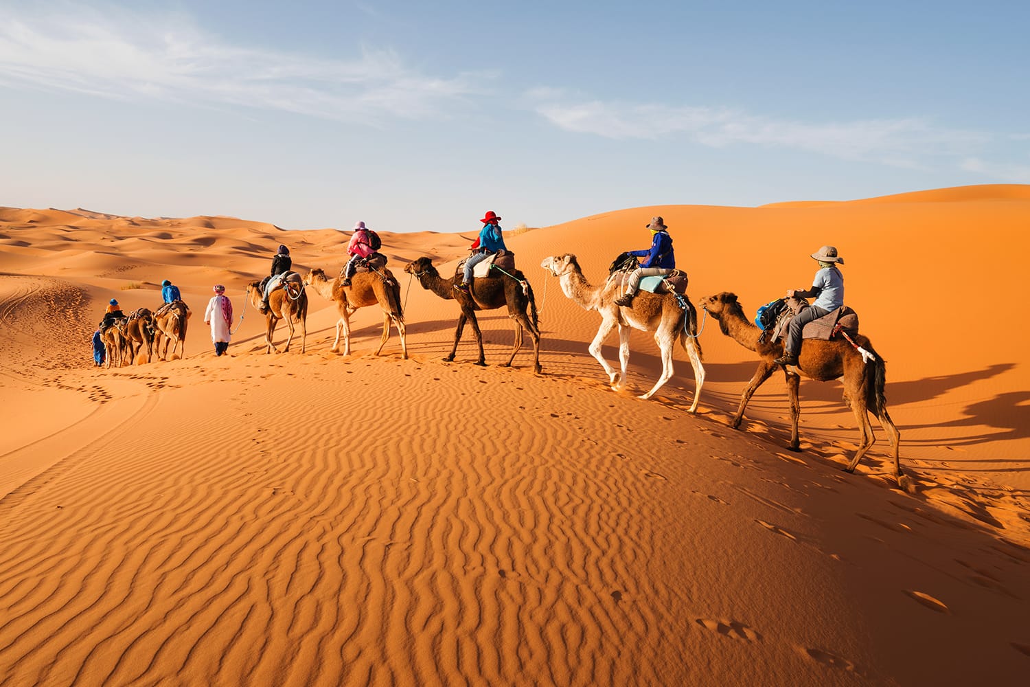 Caravan going through the sand dunes in the Sahara Desert, Morocco