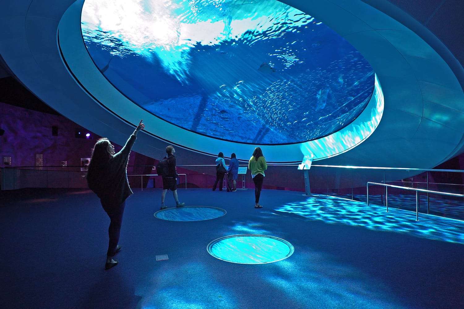 Phillip and Patricia Frost Museum of Science in Miami, Florida, USA
