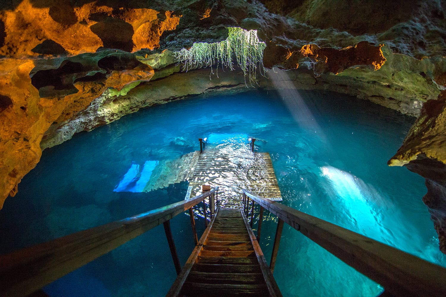 Devil's Den Spring in Florida