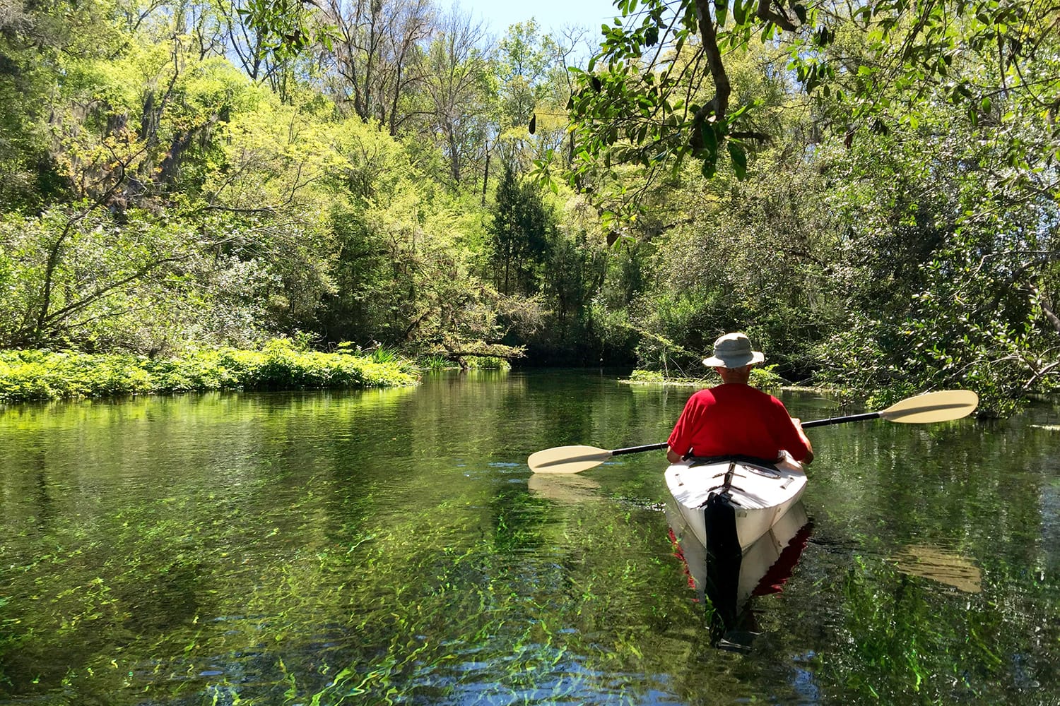 Man kayaking at Ichetucknee Springs State Park in Florida, USA