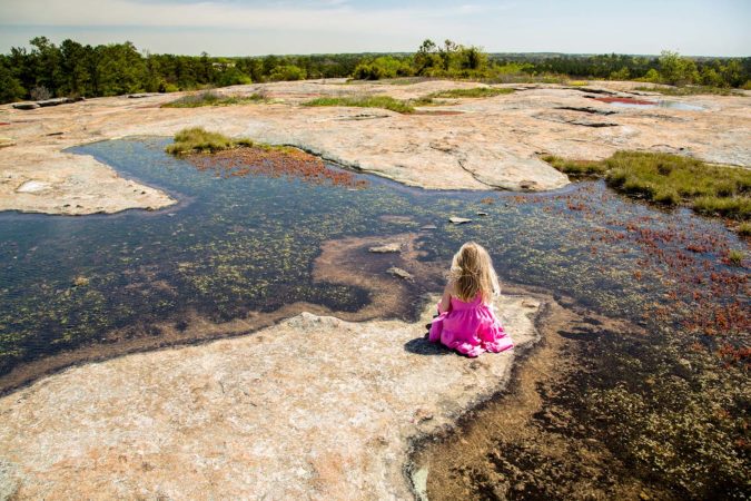 Arabia Mountain in Georgia, USA