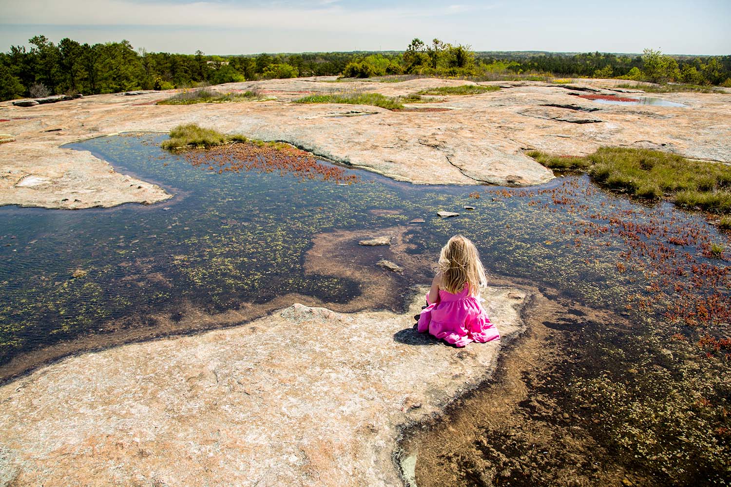 Arabia Mountain in Georgia, USA