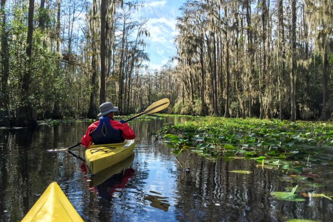 Kayaking couple in Okefenokee swamp in Georgia, USA.