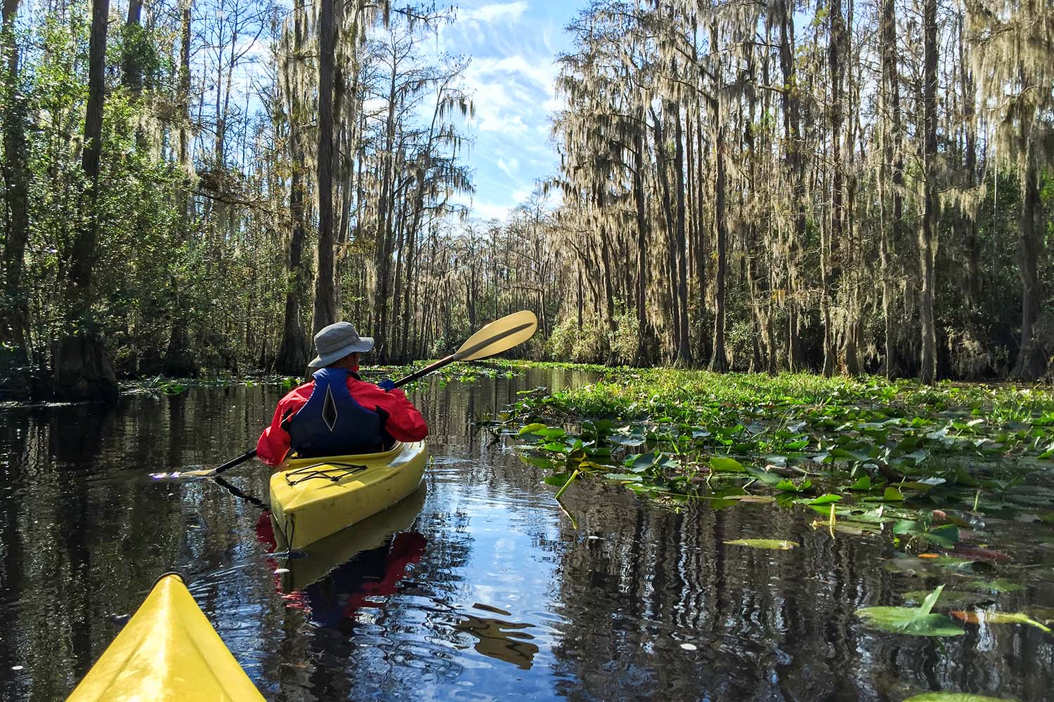 Kayaking couple in Okefenokee swamp in Georgia, USA.