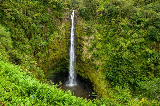 Akaka Falls on the Big Island, Hawaii