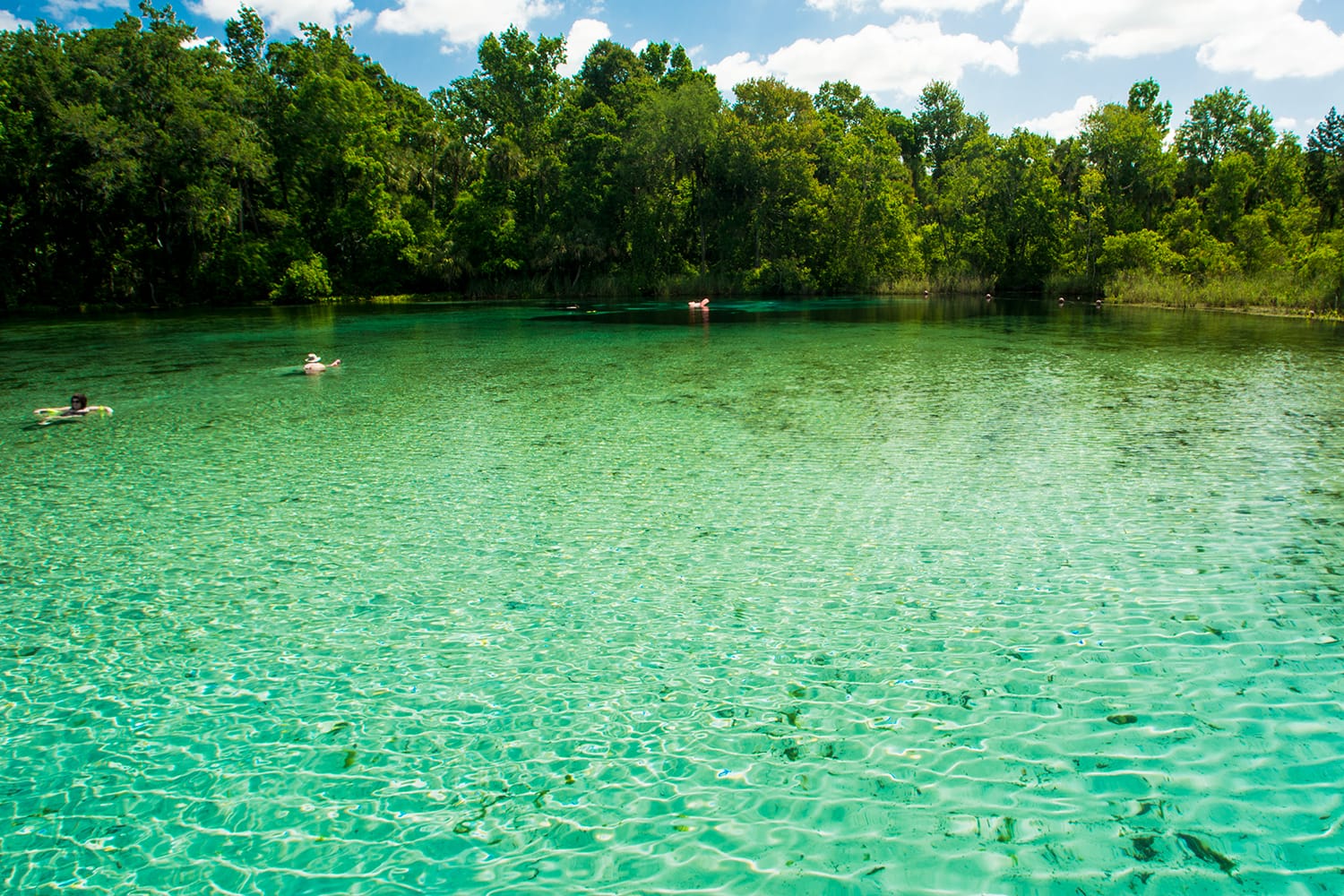 Alexander Springs, Florida