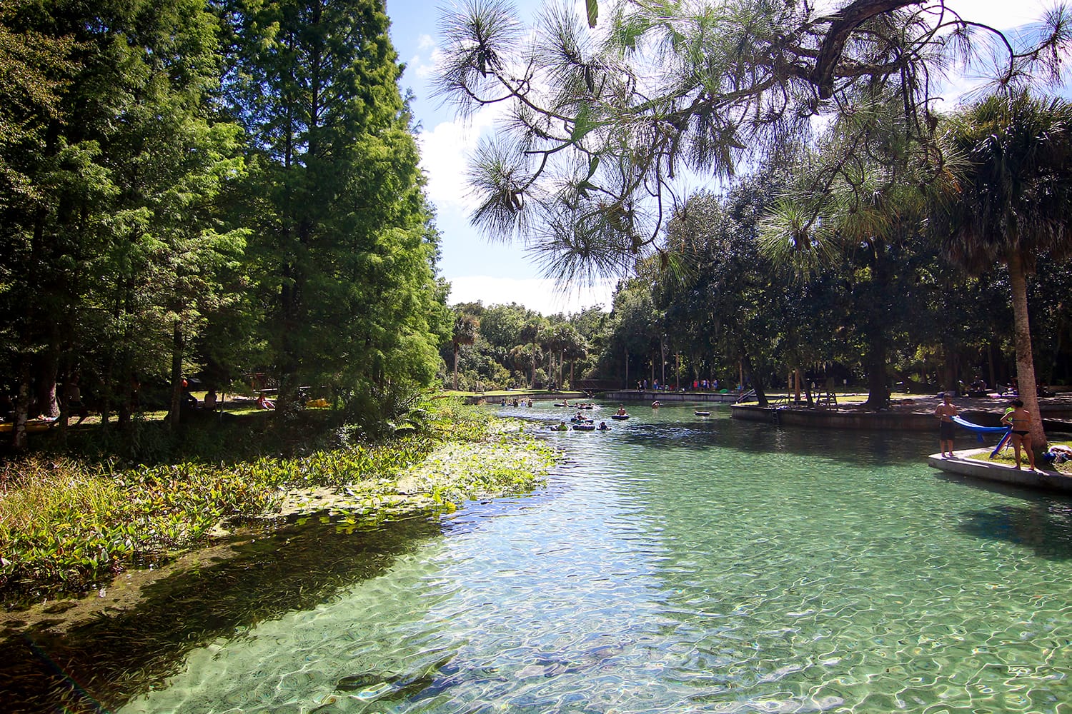 Kelly Park in Rock Springs Run, Florida, USA