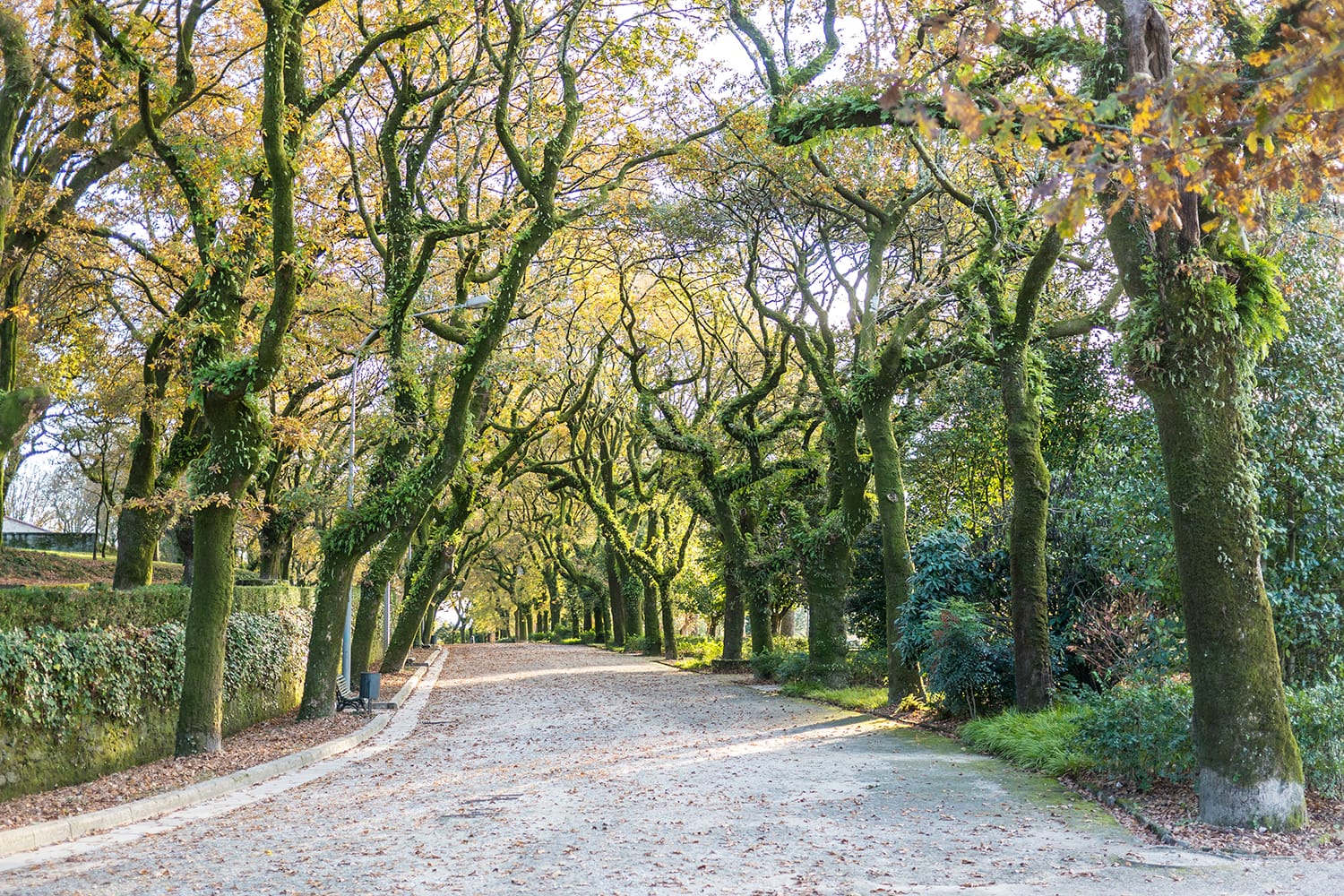 View of the Alameda Park in Santiago de Compostela, Spain.