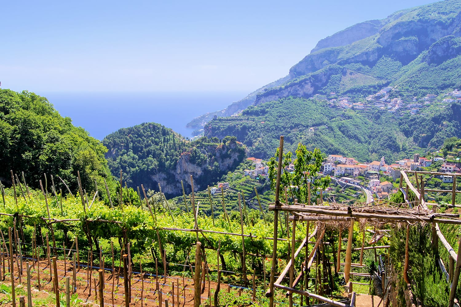 Vineyards among the hills along the Amalfi Coast, at Ravello, Italy