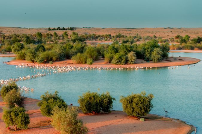 Al Qudra Lake in Dubai