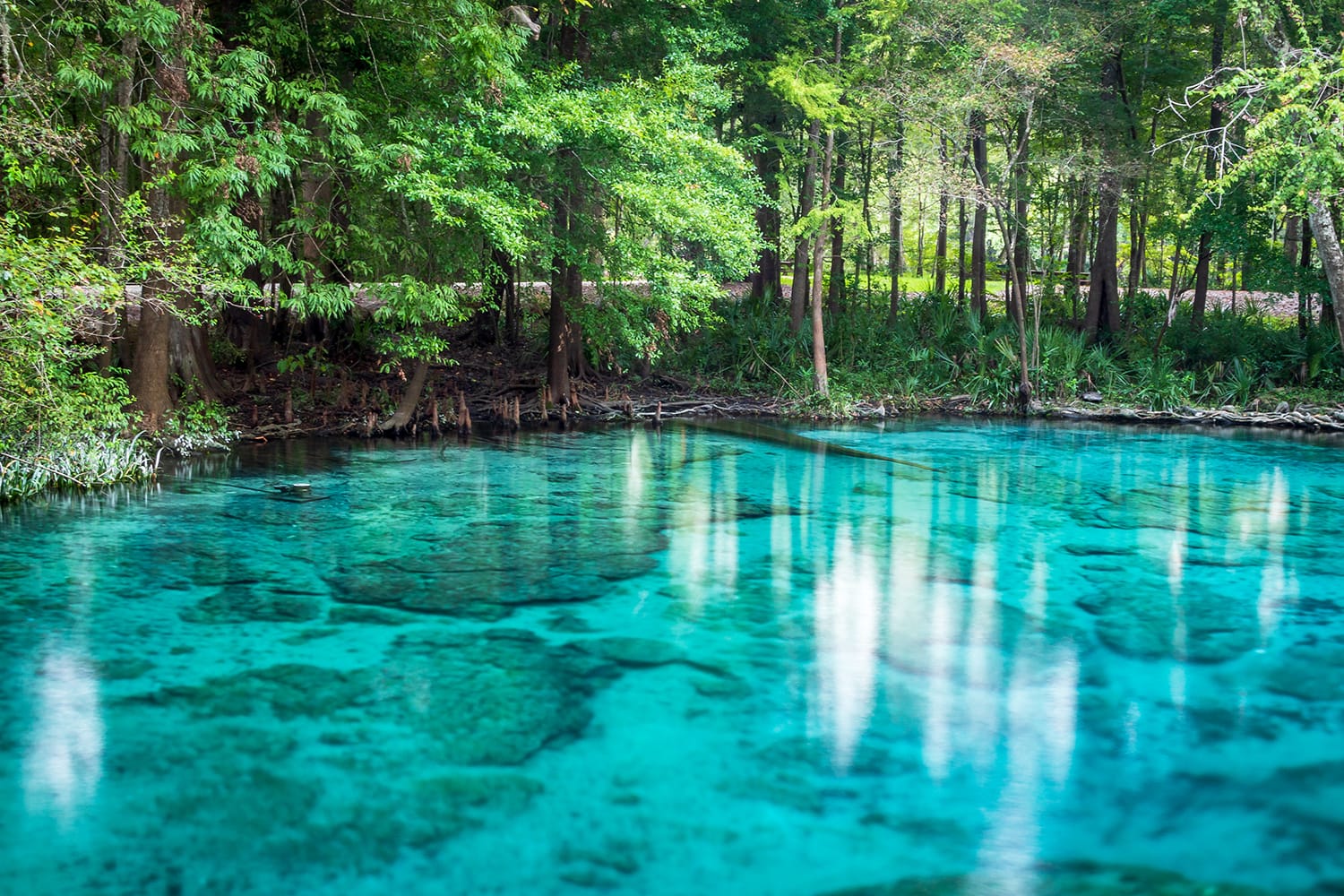 Ginnie Springs in Florida, USA
