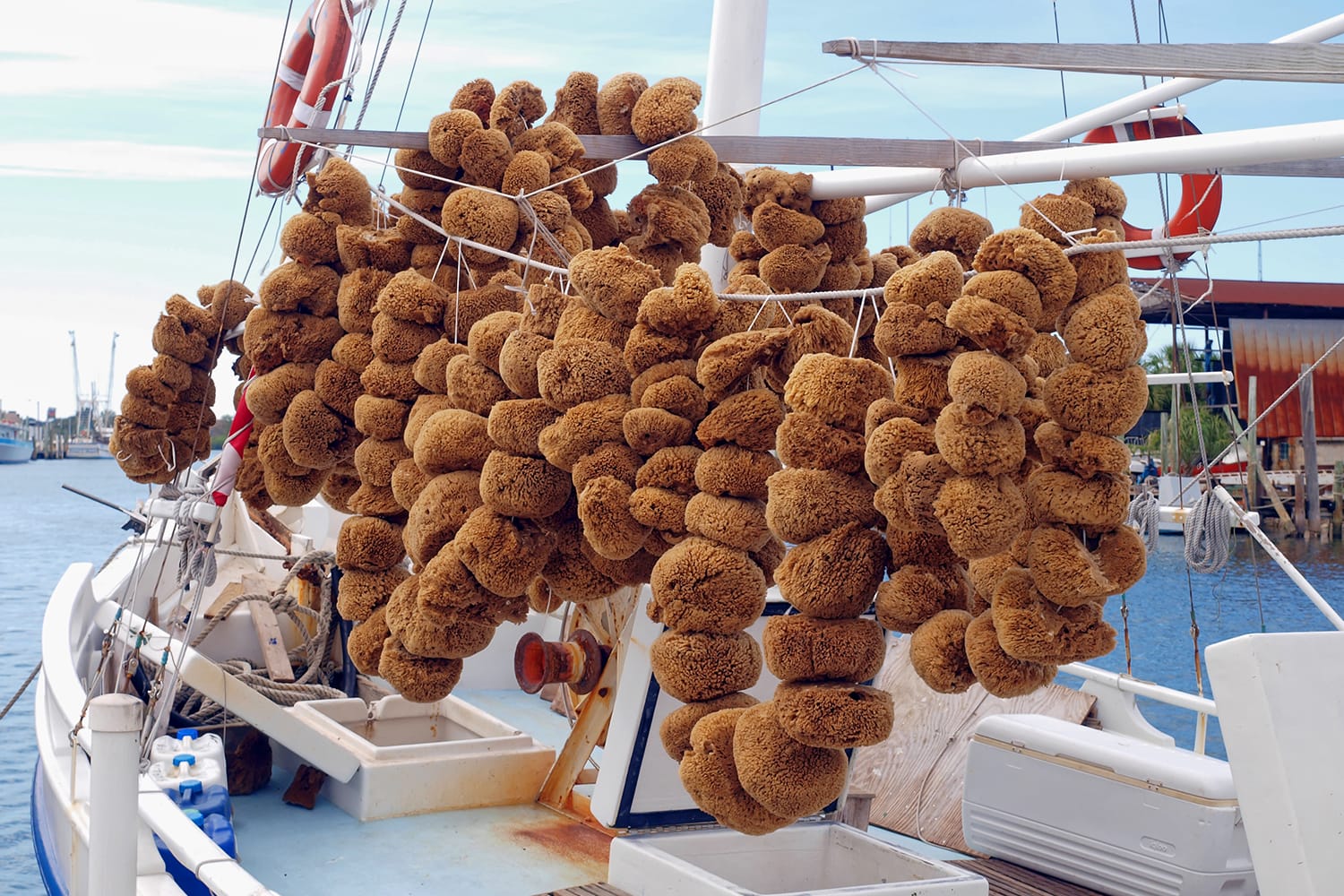 Natural sea sponges in Tarpon Springs, Florida