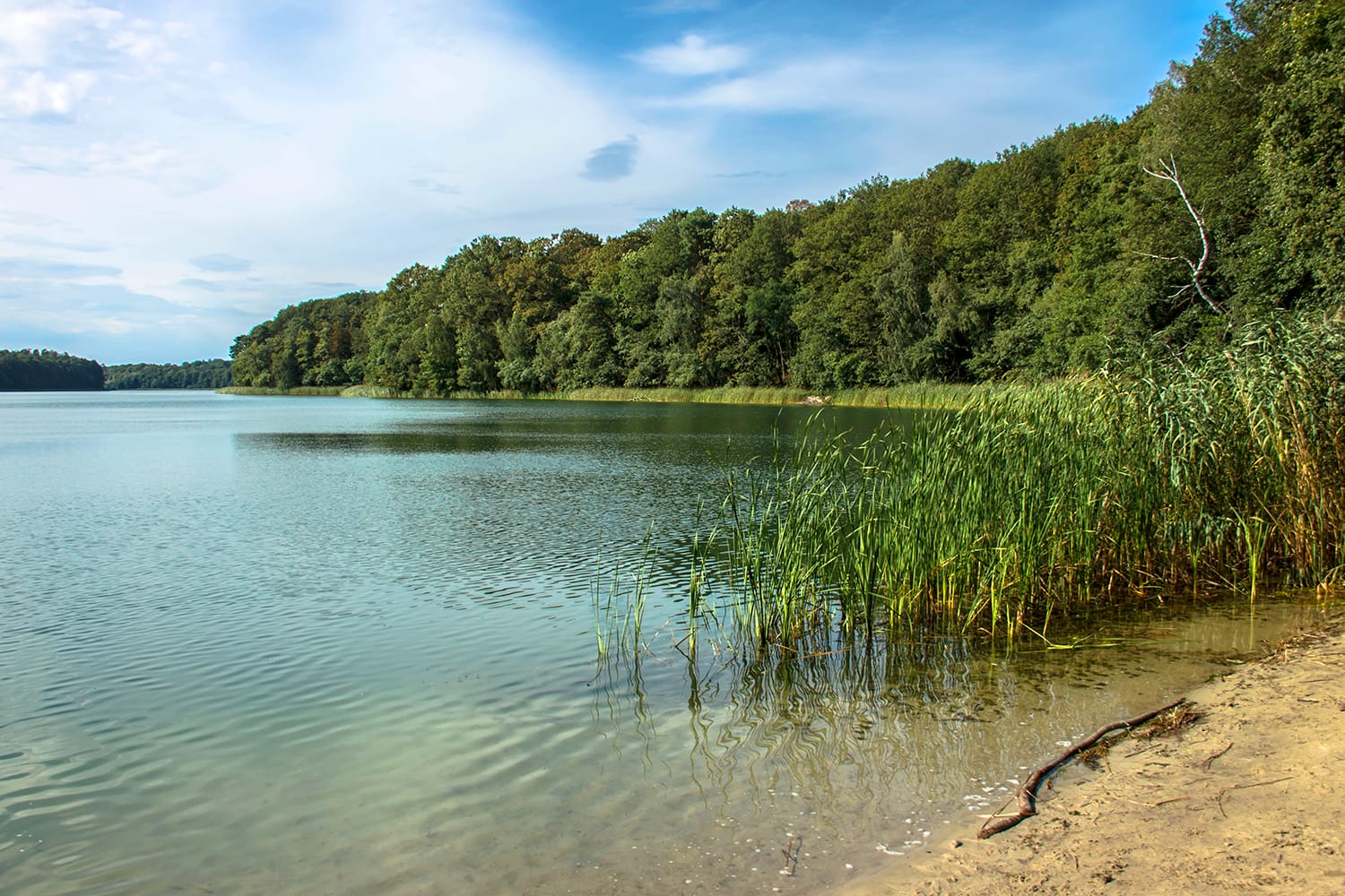 Wielkopolski National Park in Poland