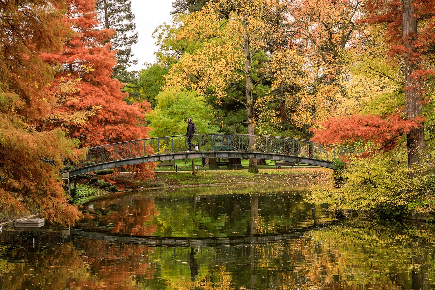 Man walking on a footbridge at Jardin Public park in Bordeaux, France