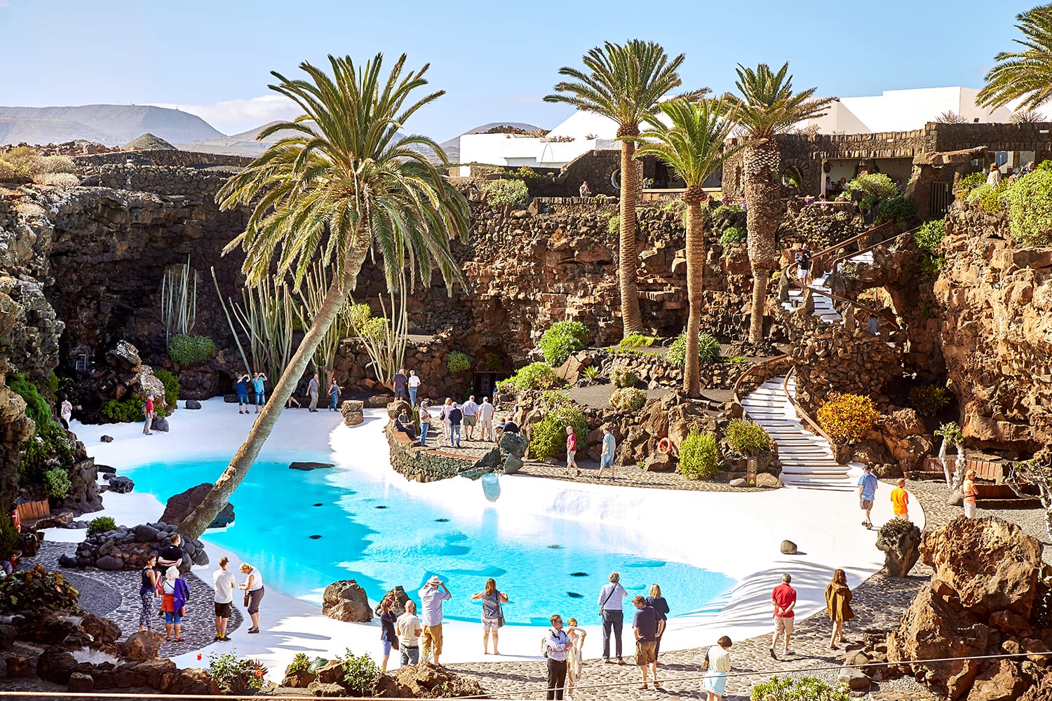 Jameos del Agua garden in Lanzarote, Canary Islands, Spain