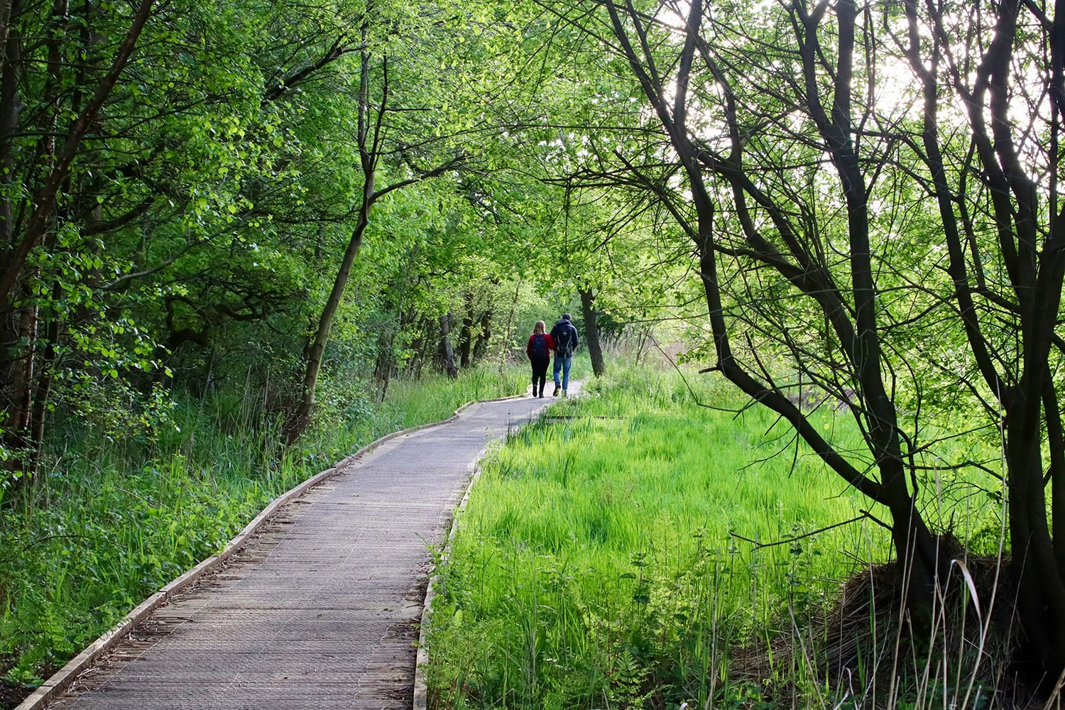 Couple on the boardwalk in Askham Bog, York, UK