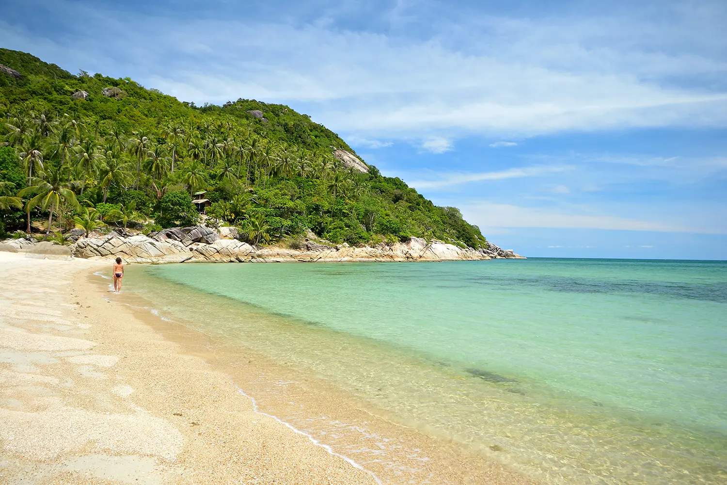 Woman in bikini walking on the gorgeous tropical beach with lush green coconut palm trees at Ao Haad Khuad, Koh Phangan, Southern Thailand.