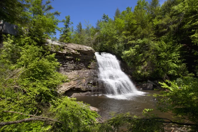 Swallow Falls State Park encompasses the Youghiogheny River and is home of Muddy Creek Falls