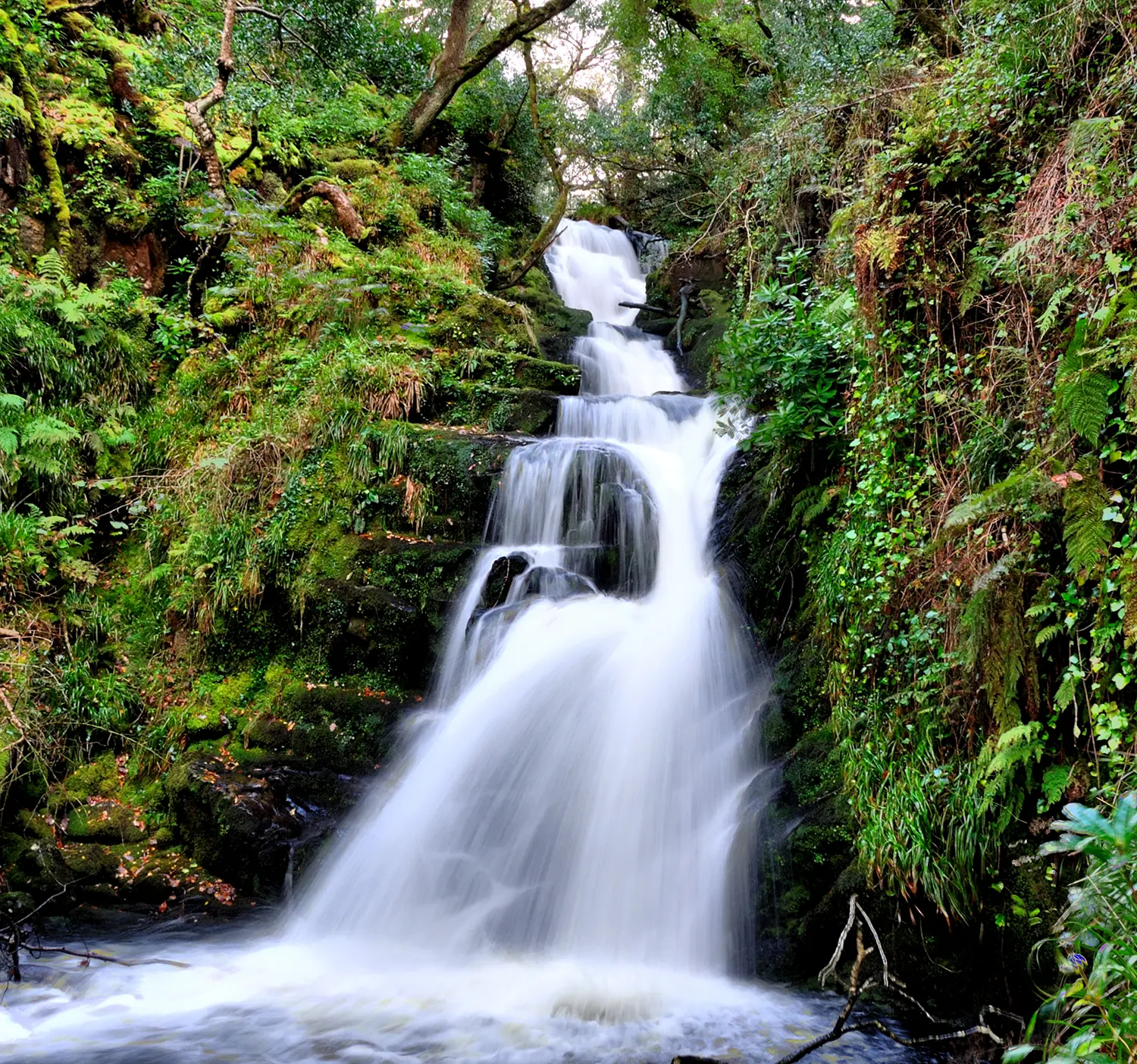 O'Sullivan's Cascade near Killarney