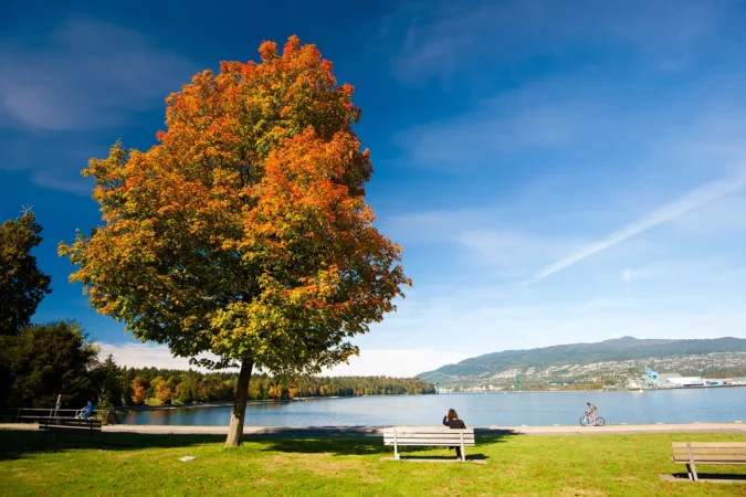 Stanley Park in Vancouver Canada