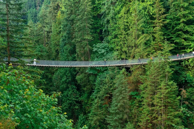 Capilano Suspension Bridge in Vancouver, Canada.