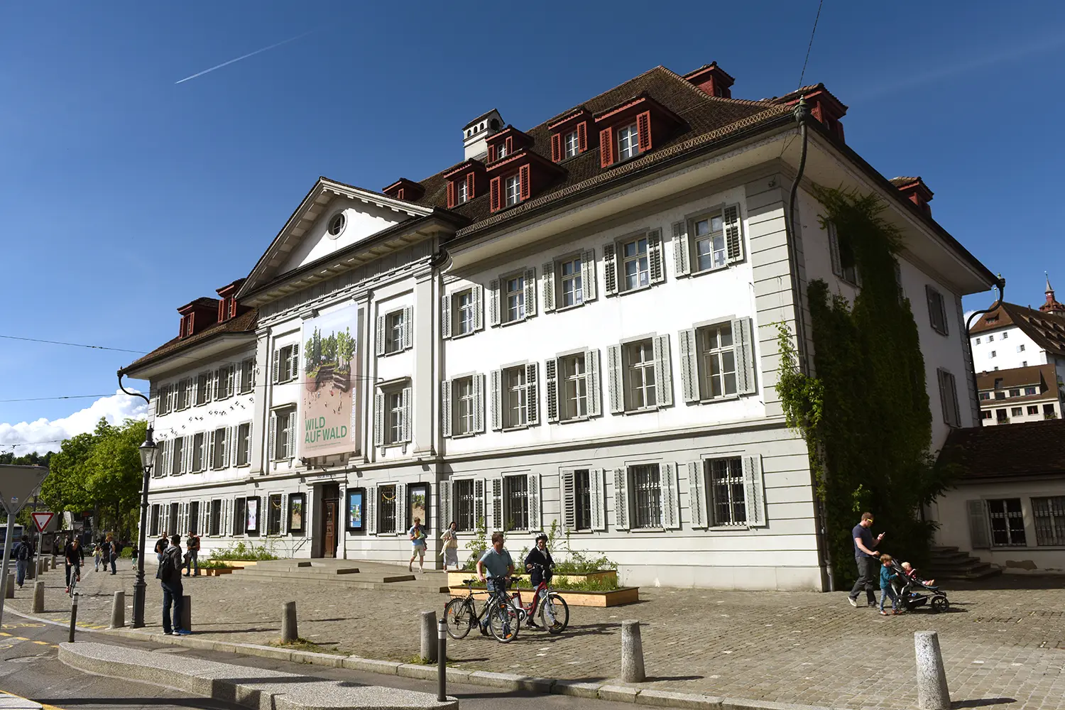 Lucerne Museum of Natural History (Natur-Museum Luzern), Switzerland.