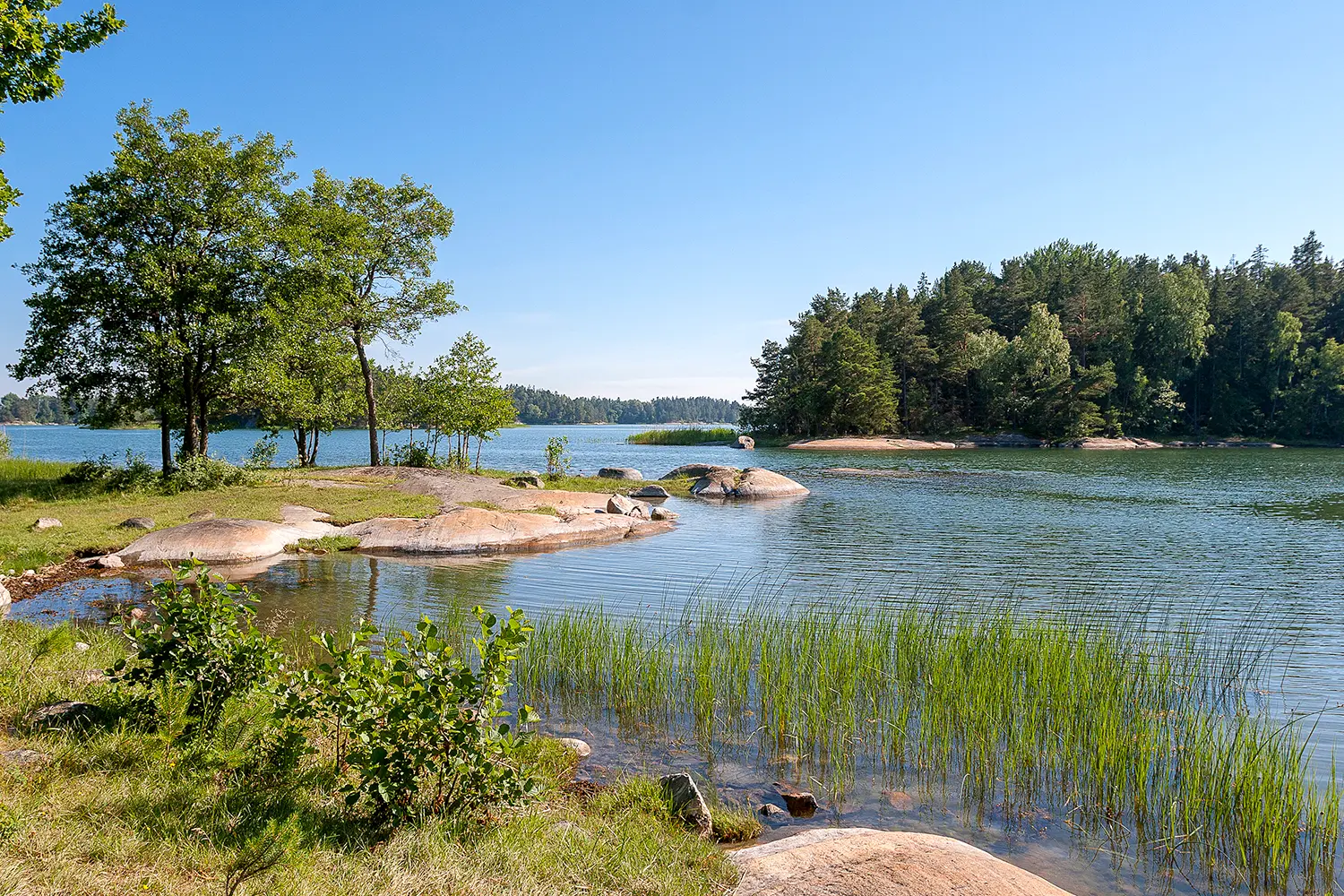 idyllic landscape on Angsoe Island, Stockholm archipelago, Sweden