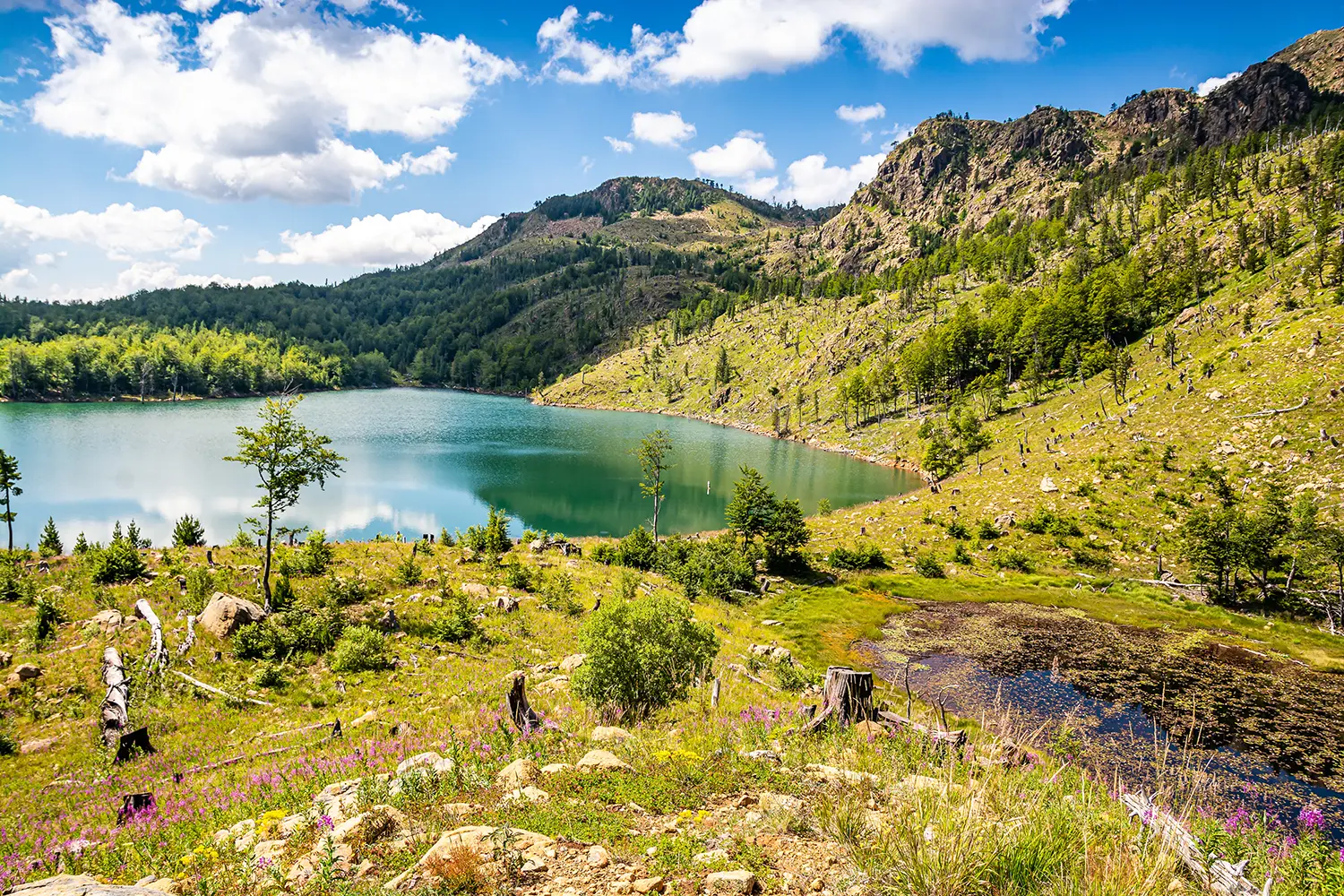 Healing nature around Lake Madh in National Park Lure, Albania