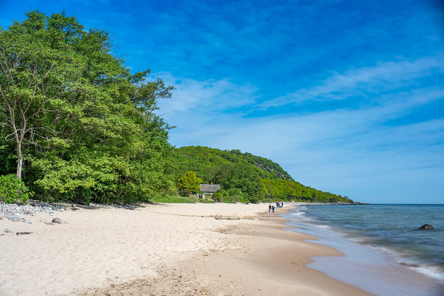 Long Sandy Beach in Stenshuvud National Park and Lush paradise forests with High Biodiversity in Osterlen Skane, South Sweden.